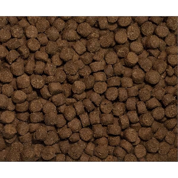 WYSONG ANERGEN CANINE/FELINE FORMULA DRY DOG/CAT FOOD – 5 POUND BAG