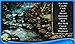 Mystery Case Files: Return to Ravenhearst (Full)