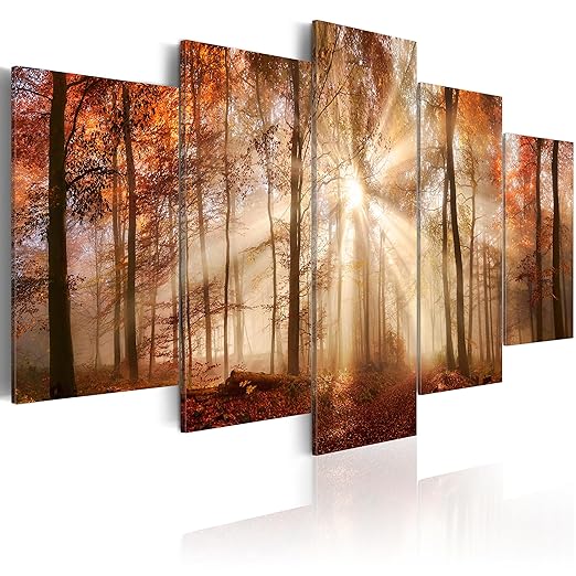 murando - Acrylglasbild Wald 100x50 cm - 5 Teilig - Bilder Wandbild - modern - Decoration - Wald Natur Baum c-B-0189-k-m
