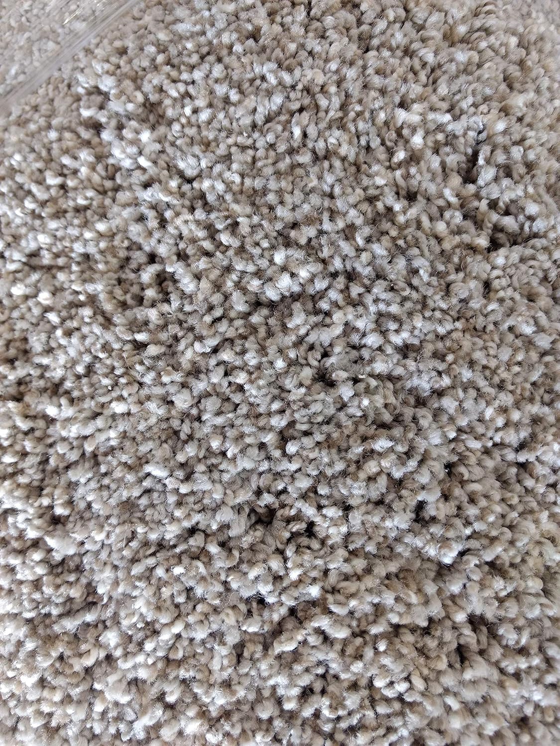 10 X 12 Carpet Remnant Carpet Vidalondon