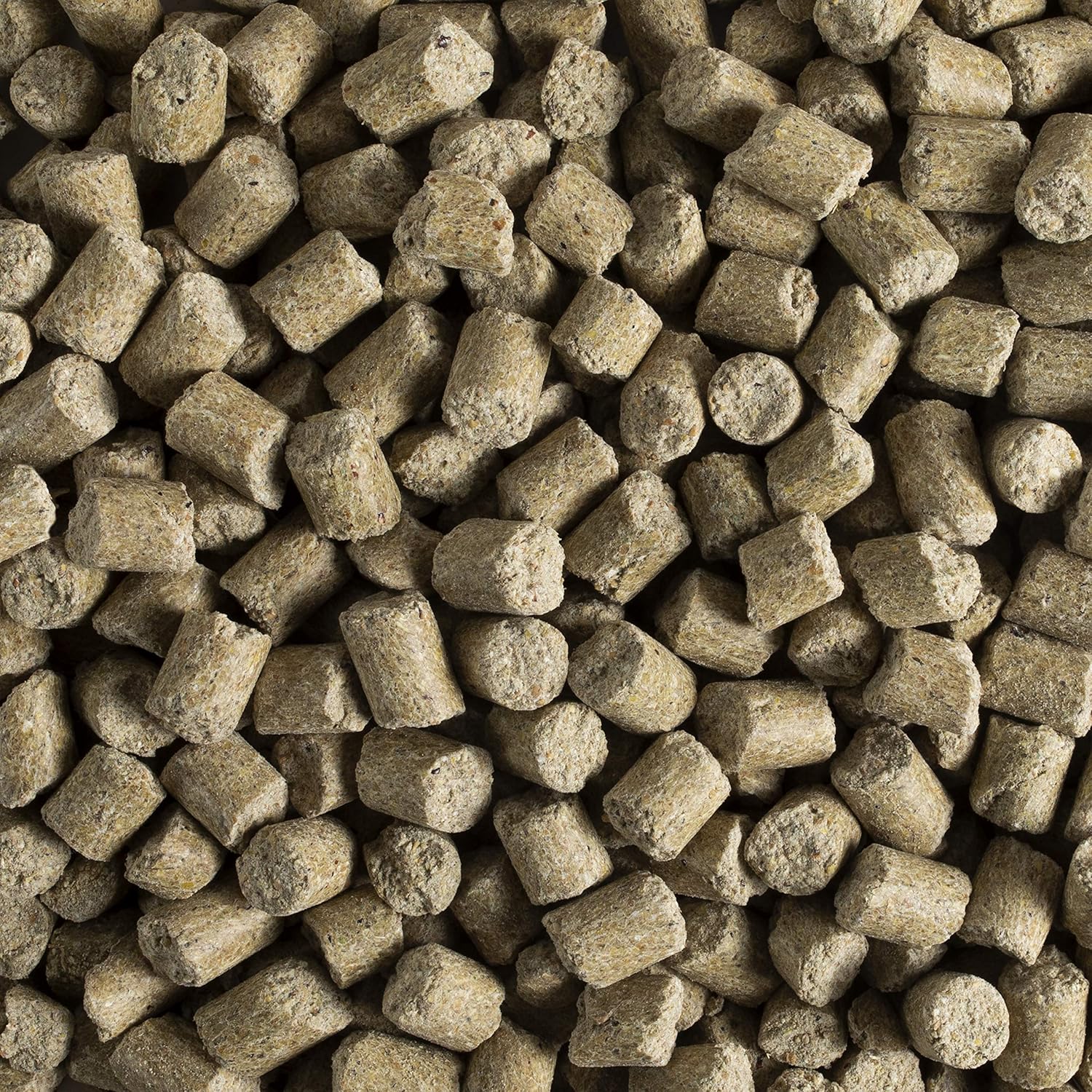 Kaytee Forti Diet Pro Health Small Animal Food For Mice And Rats, 5-Pound : Pet Food : Pet Supplies