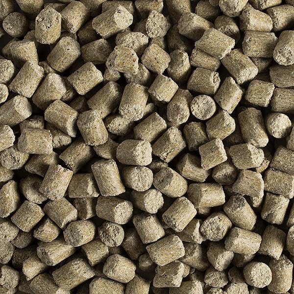 KAYTEE FORTI-DIET PRO HEALTH PET MOUSE, RAT, AND HAMSTER FOOD, 5 POUND