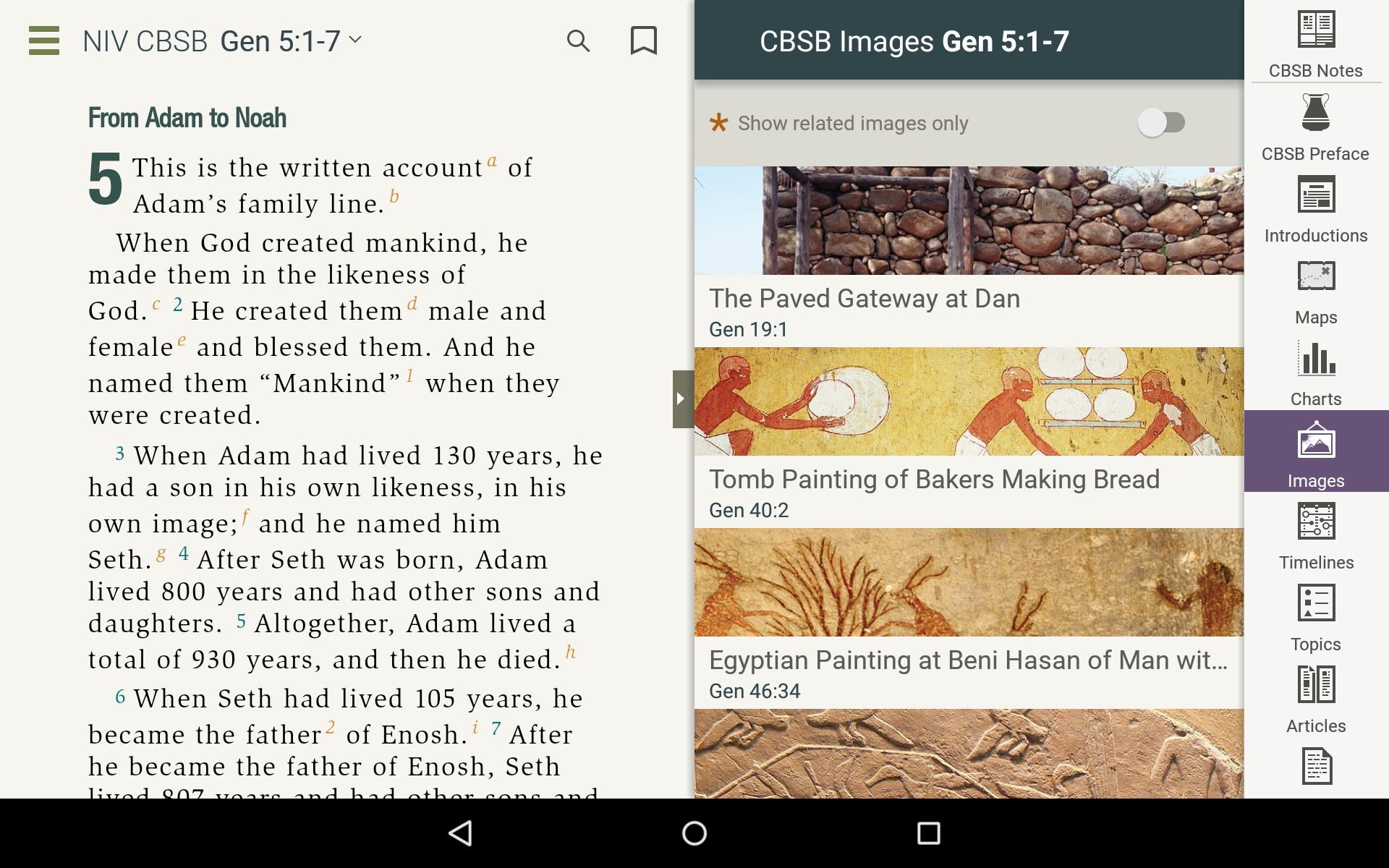 NIV Cultural Backgrounds Study Bible - Thumbnail 5