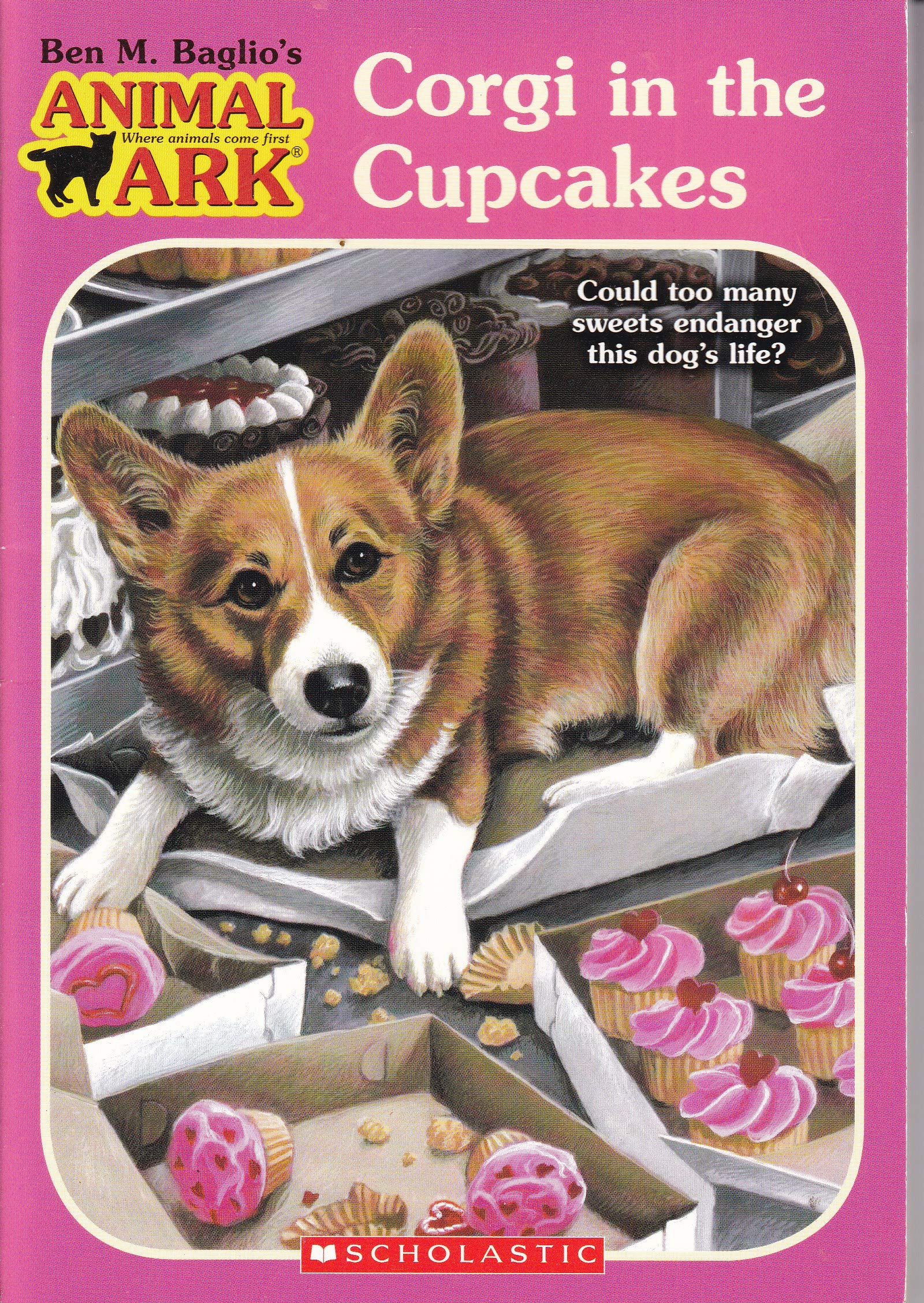 corgi and cupcakes