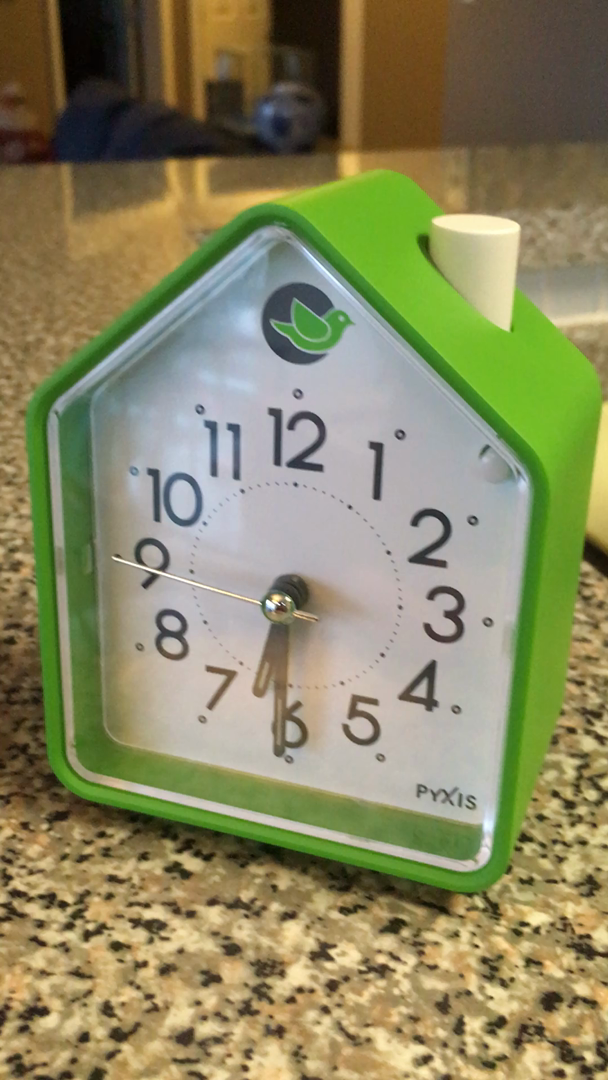 Customer reviews Seiko Analog Alarm Clock Chirping Bird Green NR434M