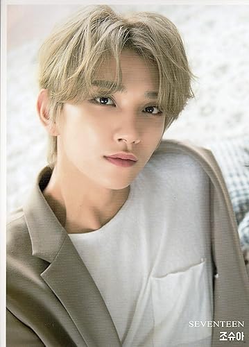 Amazon Seventeen セブンティーン ジョシュア Joshua 大判ブロマイド 韓国 Ap03 アイドル 芸能人グッズ 通販