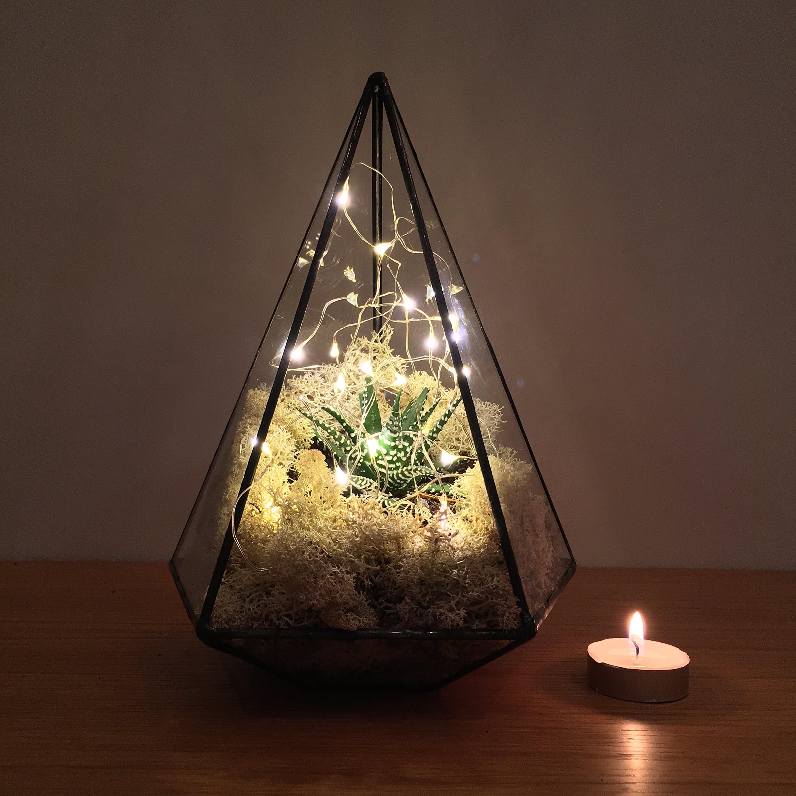JEWEL TERRARIUM with LIVE SUCCULENT PLANTS and LED FAIRY LIGHTS Supplied fully assembled. Also available as a terrarium kit or empty terrarium available. High quality glass construction H24cm x 17cm Diameter Exclusive designer geometric terrariums from The Urban Botanist. Stylish room decorations for home, office, events, interior design schemes (Succulents and LED fairy lights)