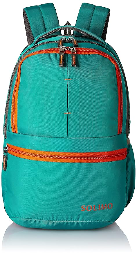 Amazon Brand - Solimo 25 Ltrs Green Casual Backpack