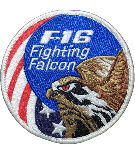 PACAF F-16 パッチ Amazon.com: United States Air Force USAF F-16 Fighting Falcon