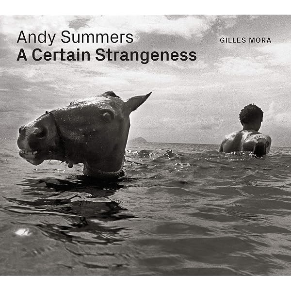 Andy Summers: I'll Be Watching You: Inside The Police. 1980-83