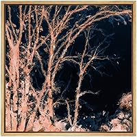 SIGNWIN Framed Canvas Wall Art Winter Trees Branch at Night with Black Sky Landscape Trees Oil Painting Impressionism Traditional Scenic Expressive for Living Room, Bedroom, Office - 16x16 inches