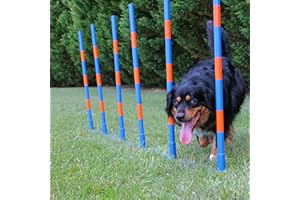 Lord Anson™ Dog Agility Weave Poles - Competition Grade Adjustable Agility Weave Pole Set - Dog Agility Equipment Set - 12 Weave Pole Set w/Carrying Case