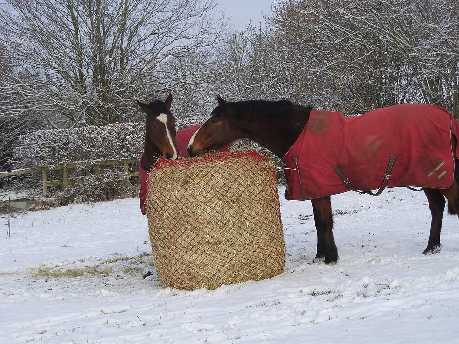 Gee Tac Round Bale Slow Feeder Small Hole Hay Haylage Net Feed Bag