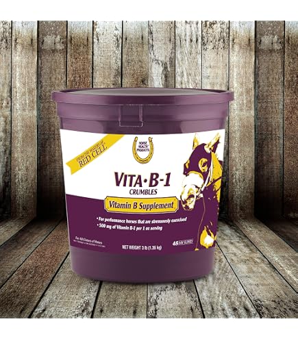 what is a b12 injection given for What is B12 Injection Used for?