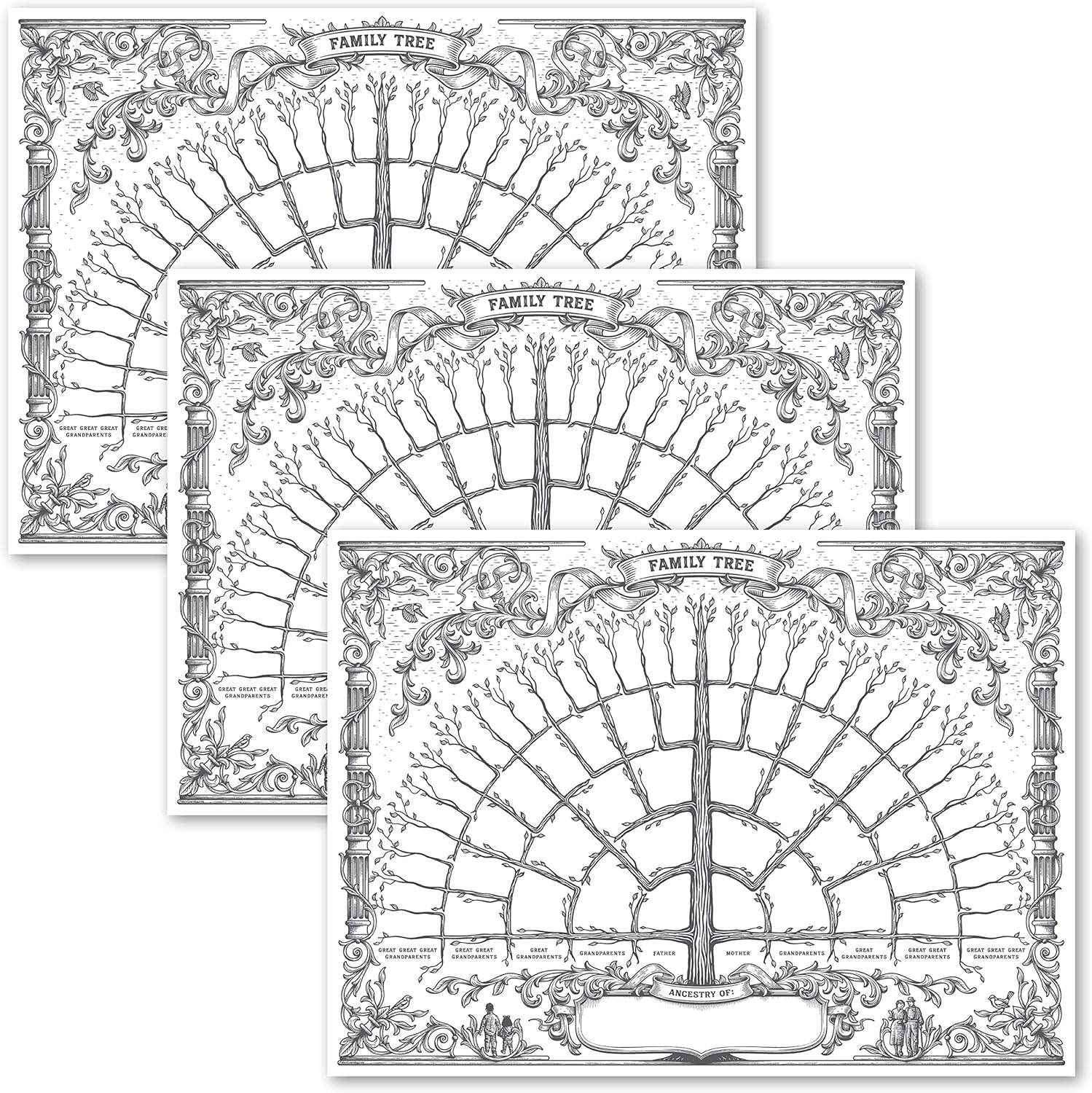 Price Com 3 Pack Family Tree Chart To Fill In 6 Generation Genealogy Poster Blank Fillable Ancestry Chart Version 1 18 X 24
