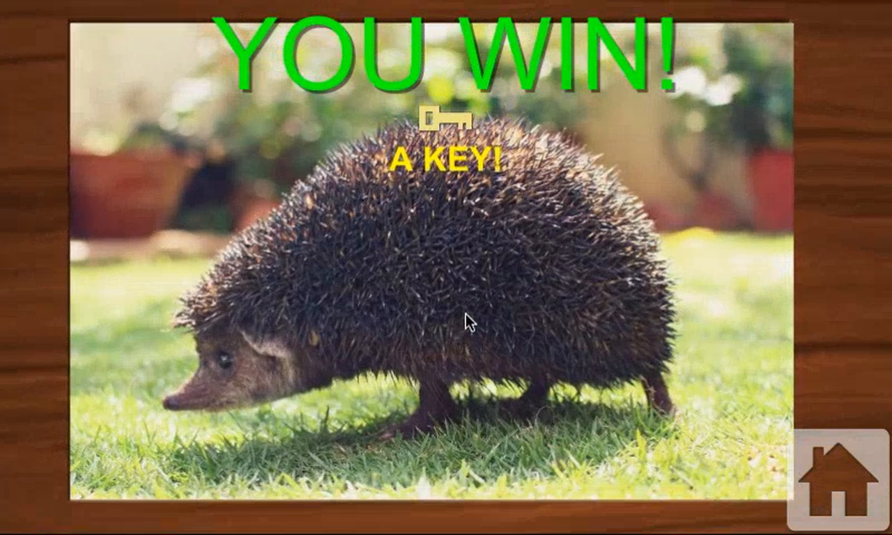 Jigsaw Puzzle Box App on the Amazon Appstore