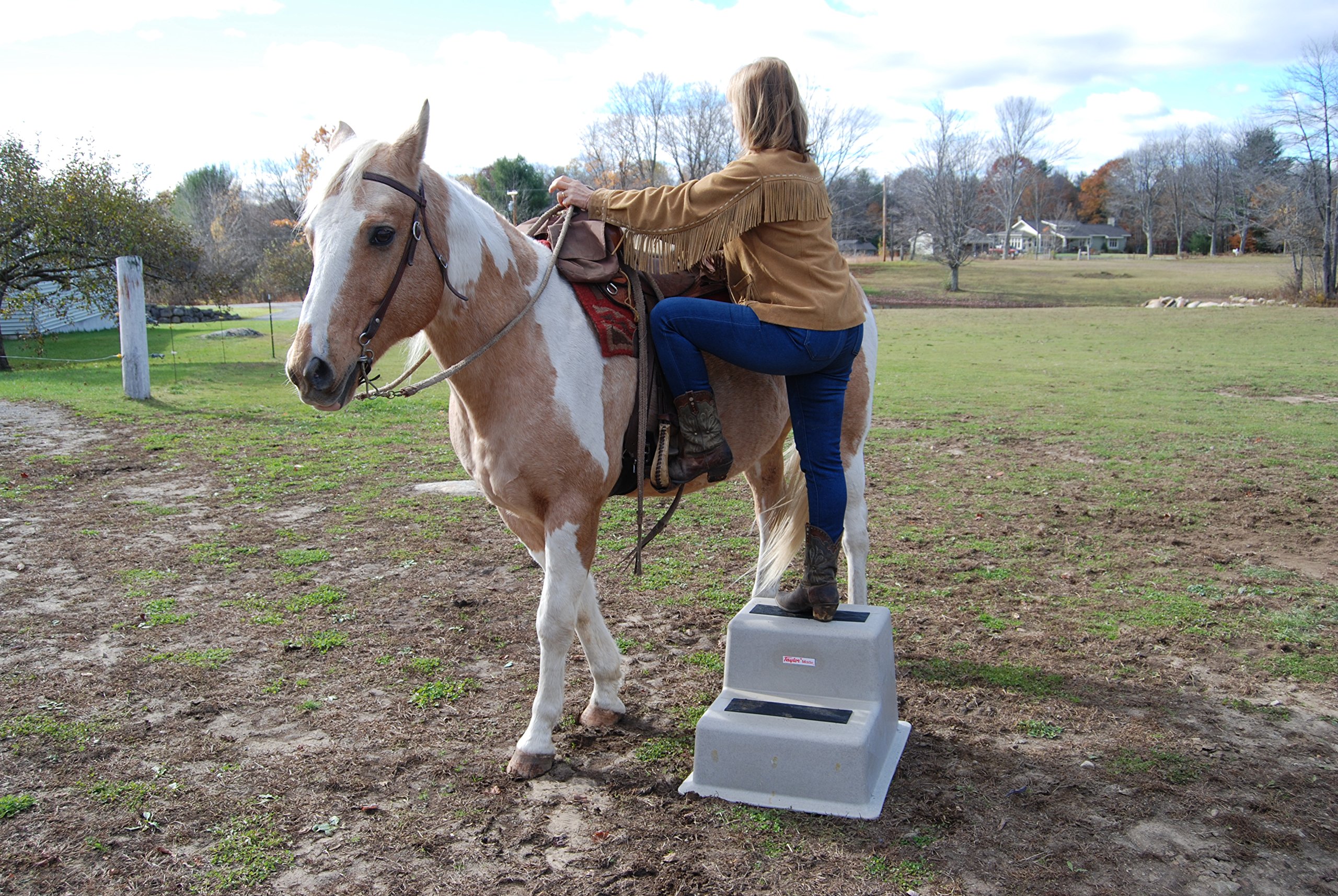 Taylor Made Products StepSafe Dock Steps