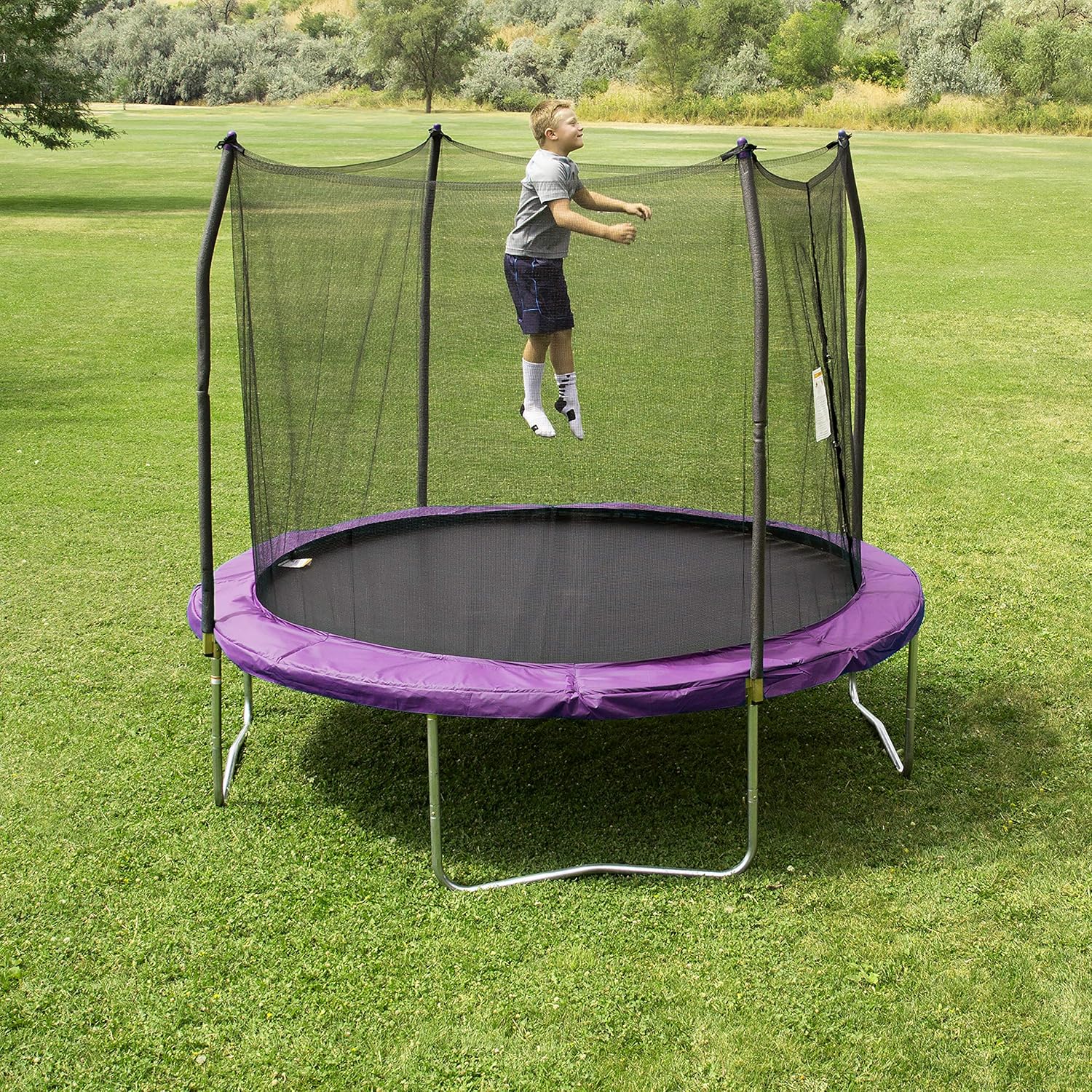 Amazon Skywalker Trampolines 10 Foot Round Trampoline and Enclosure