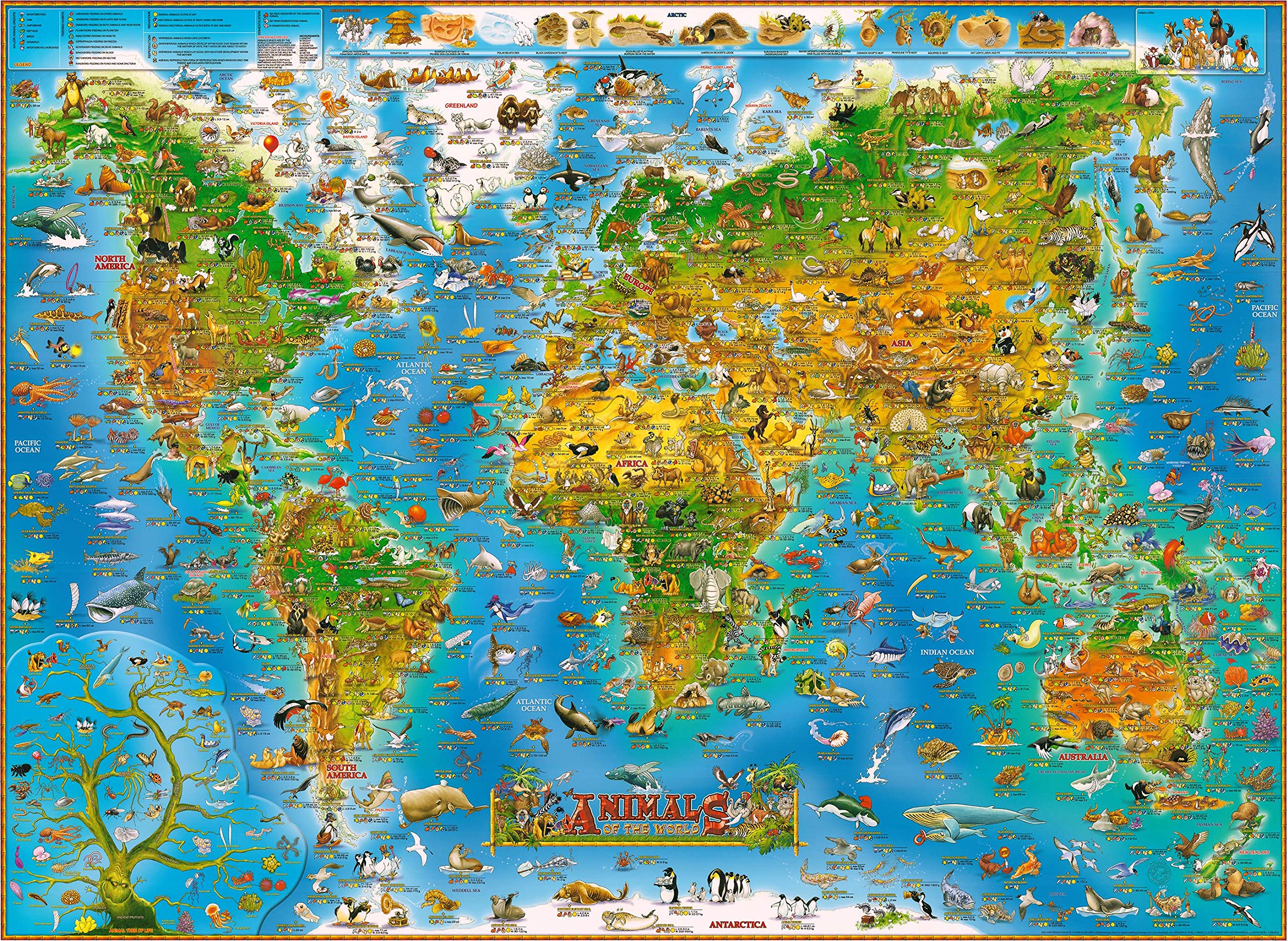 Jigsaw Puzzles for Adults 1000 Piece Animals of The World 27.56 x 19.69 Inch Jigsaw Puzzles for Adults Wild Animals Educational Game Challenge Toy