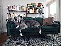 Review Image by Alicia