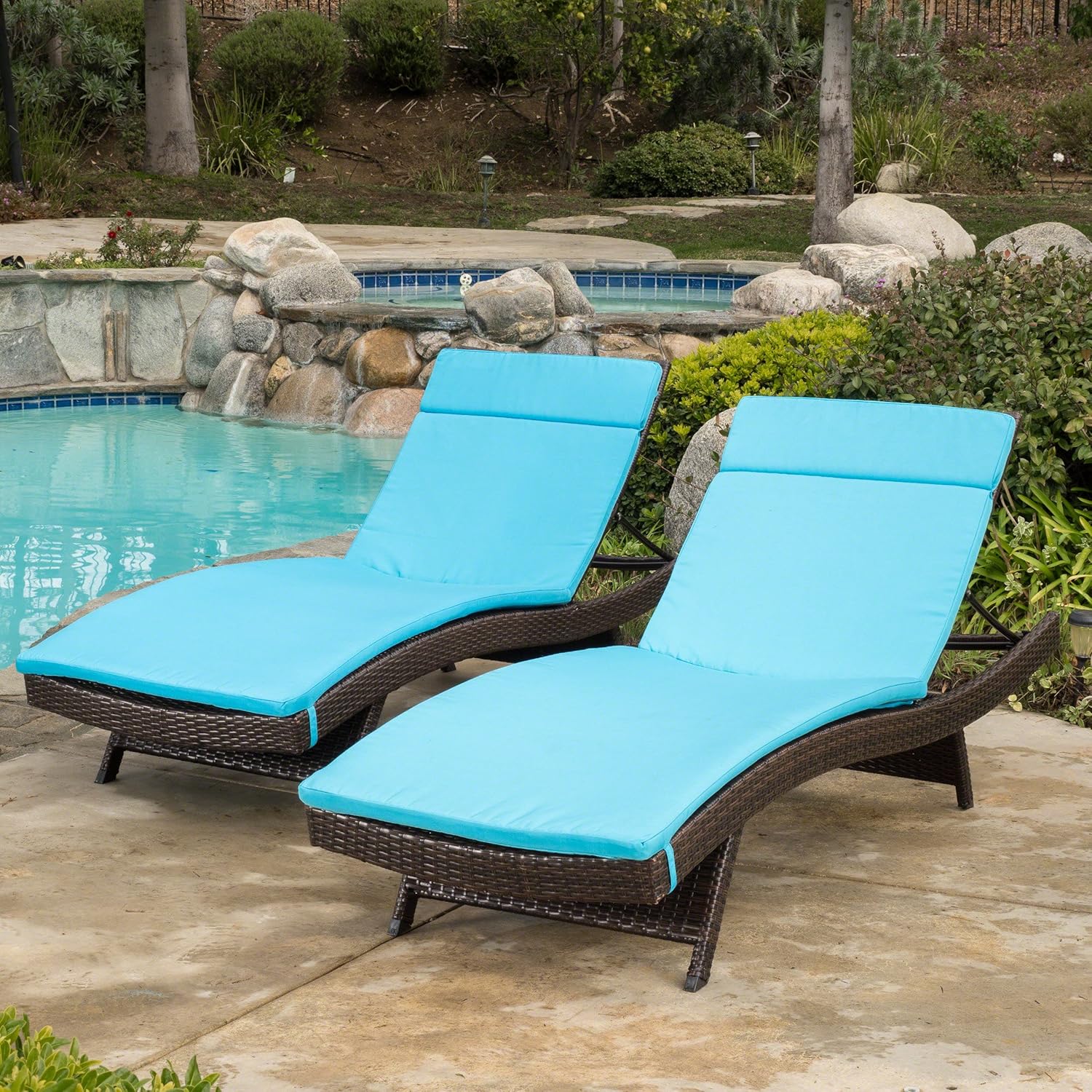 Christopher Knight Home Salem Chaise Lounge Cushion, 2-Pcs Set : Garden & Outdoor