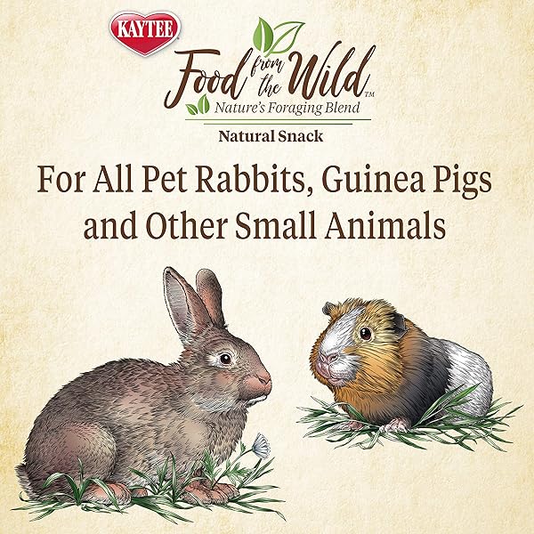 KAYTEE FOOD FROM THE WILD NATURAL SNACK FOR PET RABBITS, GUINEA PIGS AND OTHER SMALL ANIMALS, 1 OUNCE