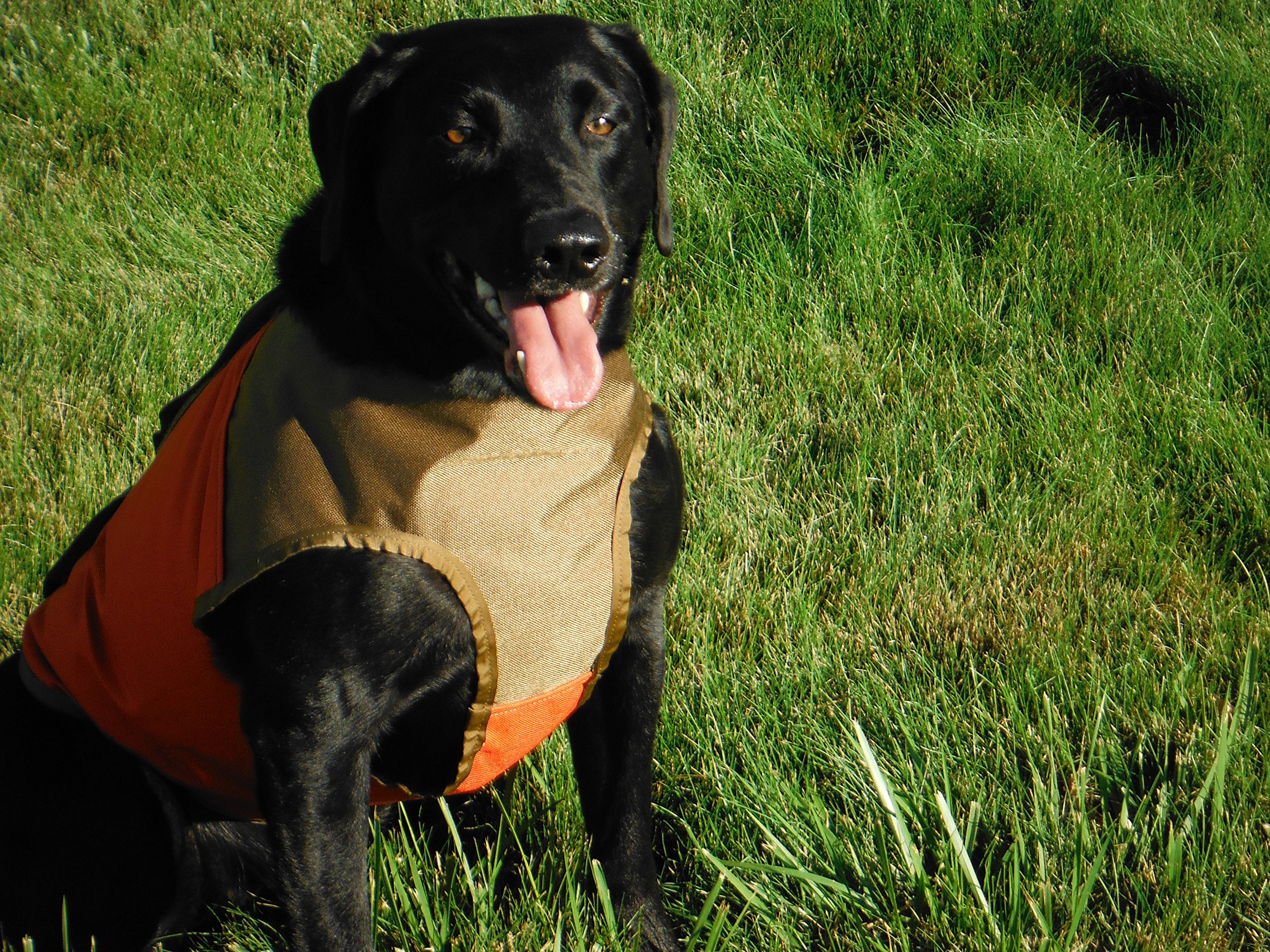 CUGA VEST Serious Protection for The Active Dog (MED, Orange/Tan