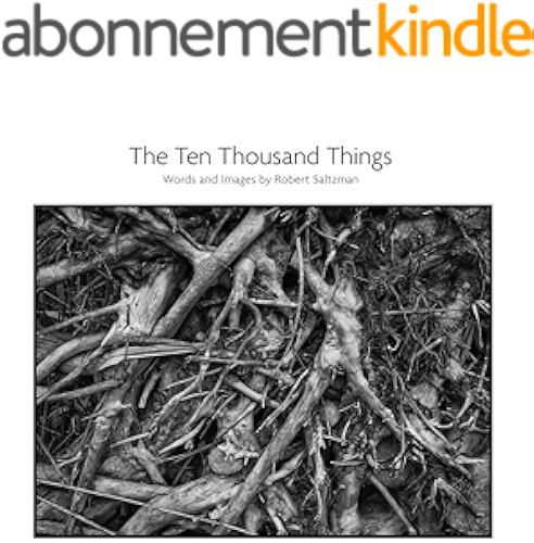 Download The Ten Thousand Things (English Edition) PDF