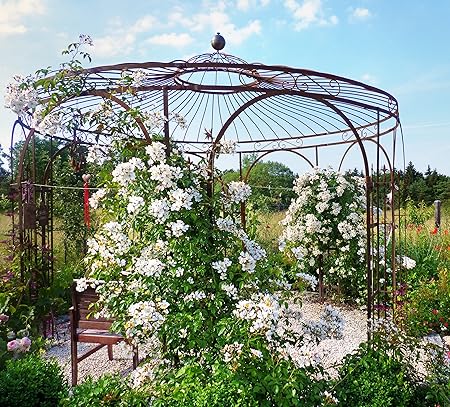 Amazon De Eleo Florenz Wunderschoner Gartenpavillon Winterfest I Stabiler Rundpavillon Roh Edelrost O 3 7 M I Stabiler Rosenpavillon Aus Schmiedeeisen Mit Messingkugel I Pavillon Fur Garten