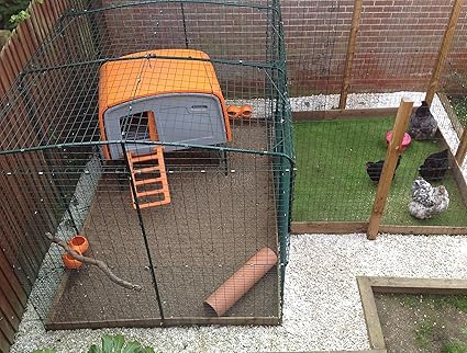 poulailler eglu occasion