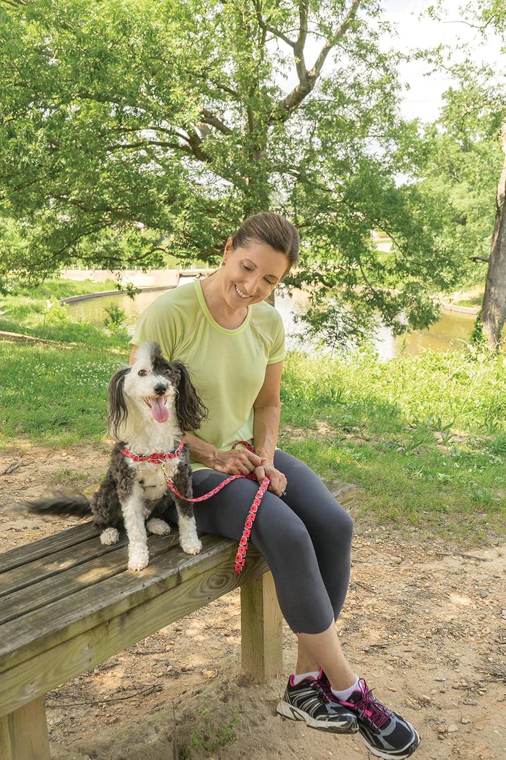 PetSafe EWH-C-HC-S-POP Easy Walk Chic Harness, Small, Poppies : Pet Supplies