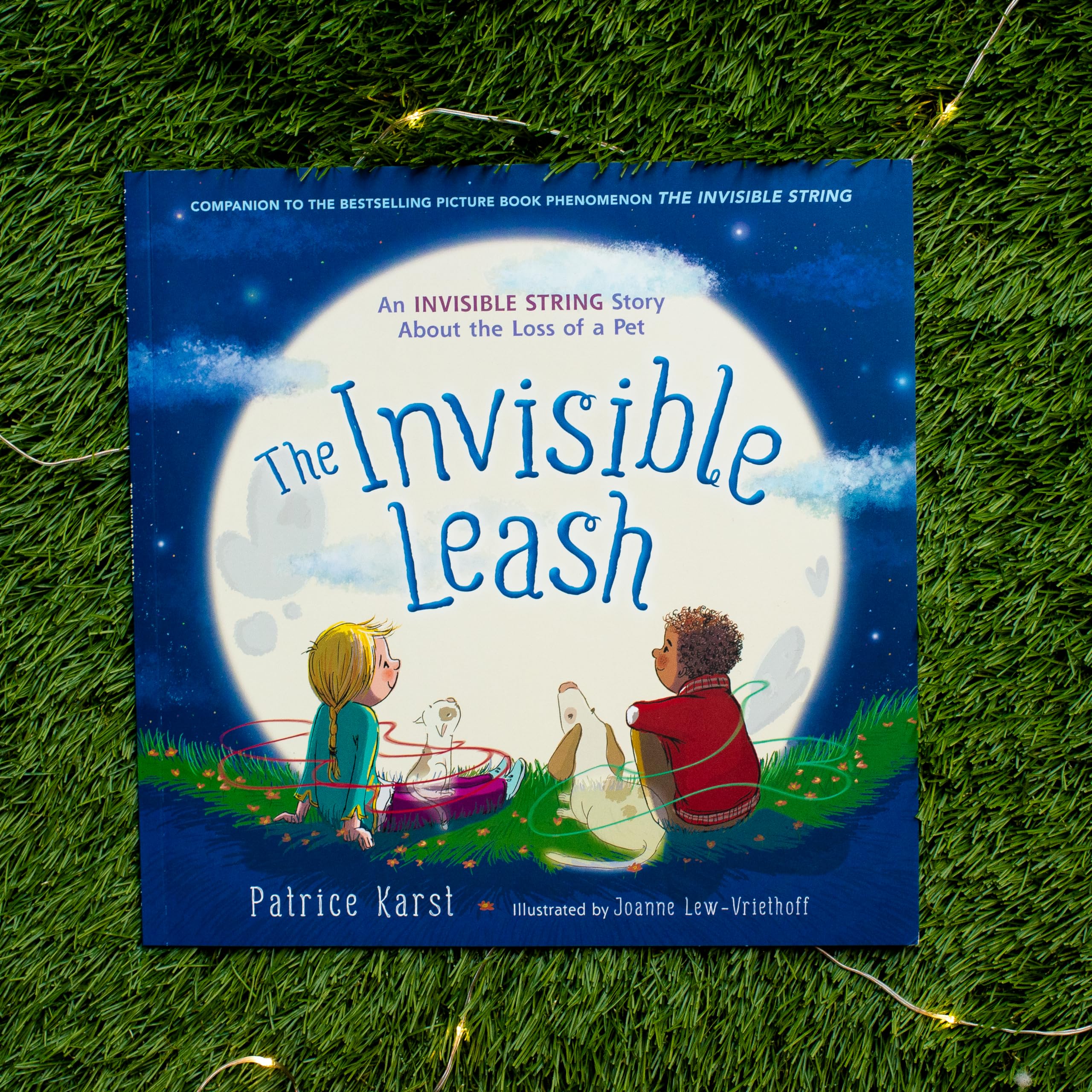 The Invisible Leash: An Invisible String Story About the Loss of a Pet (The Invisible String, 3) The Invisible Leash: An Invisible String Story About the Loss of a Pet (The Invisible String, 3) Paperback Kindle Audible Audiobook Hardcover