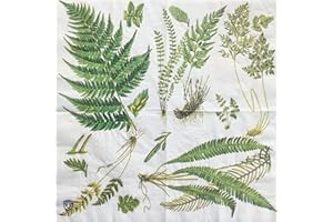 Colored Paper Napkin (Fern)