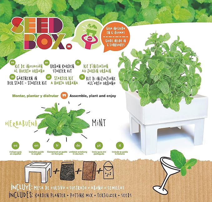 SeedBox SBMCUHB Huerto Urbano Cultívame Mini - Hierba Buena ...