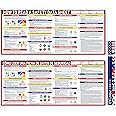 2025 How To Read A Safety Data Sheet Poster | SDS/MSDS Poster 18 x 40 Inch | Waterproof & Tearproof | OSHA HMIS Compliant | English & Spanish Safety Data Sheet Guide for Workplace Safety