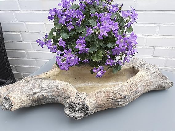 Pflanzschale aus Zement in Holzoptik Schale Pflanzgefäß Blumentopf