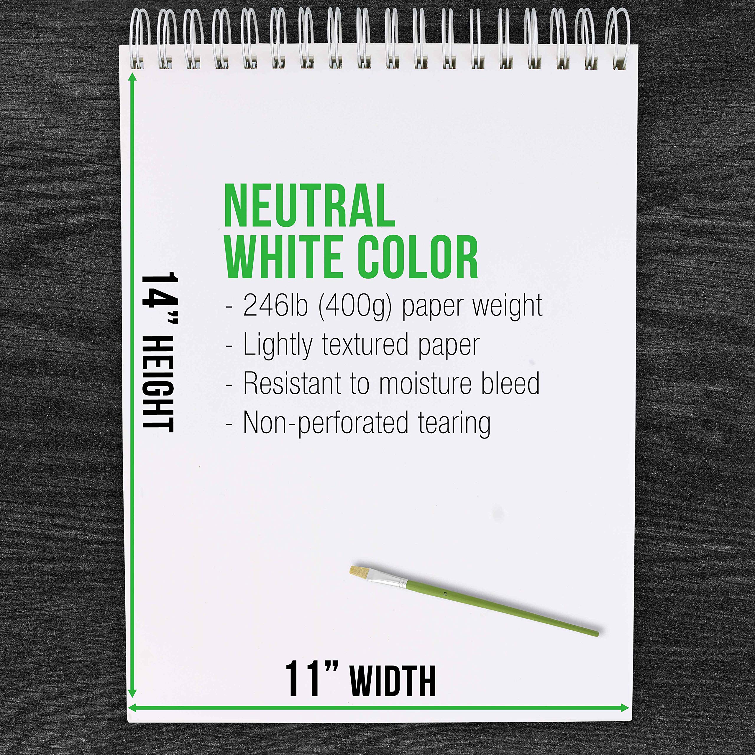 U.S. Art Supply 9x12 Premium Heavy-Weight Acrylic Painting Paper Pad, 246lb (400gsm), 2 Pack, 12 Sheets, Spiral Bound, for Acrylic Paint