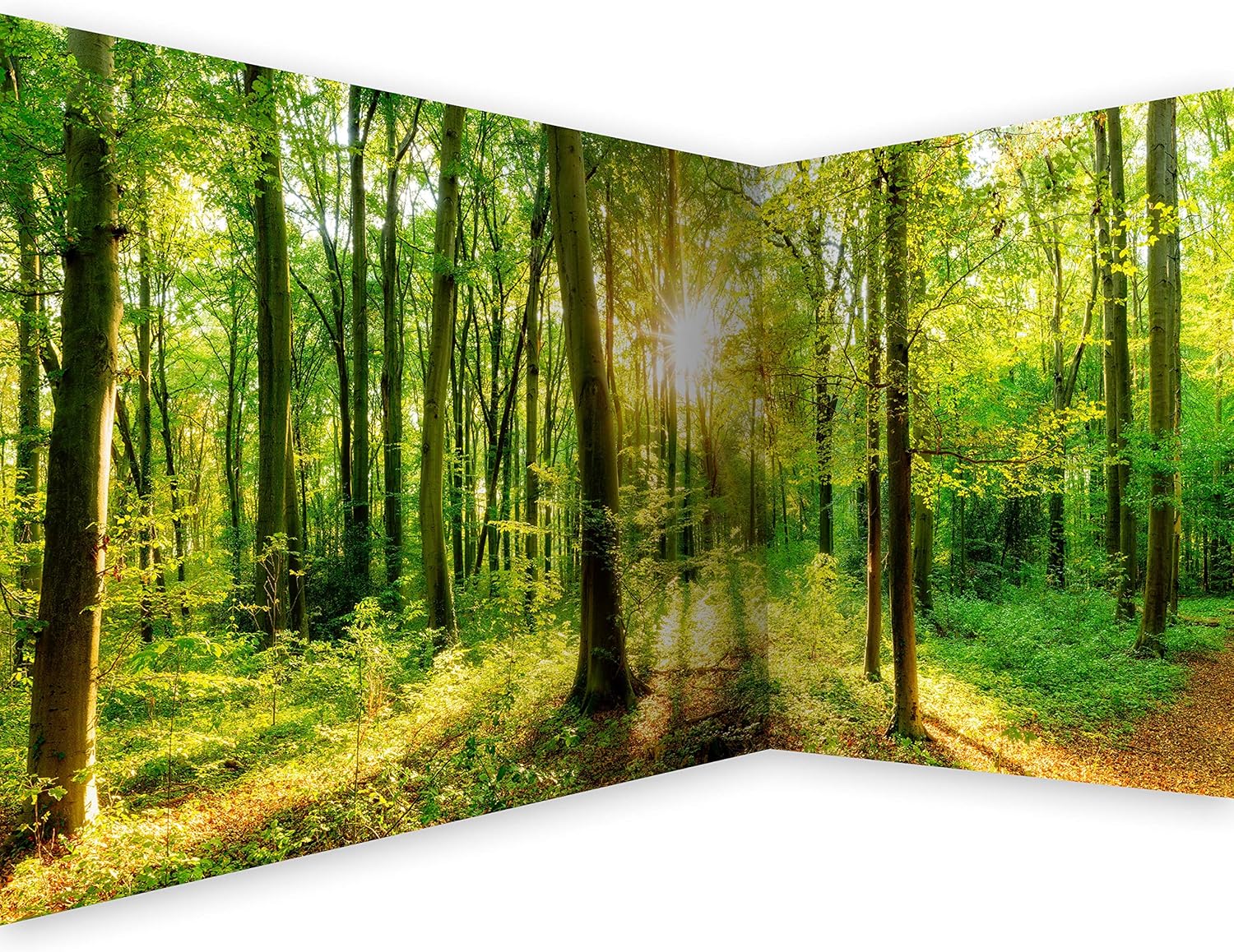 artgeist Wall Mural Forest 212.2” x 98.4” XXL Peel and Stick Self-Adhesive Corner Wallpaper Removable Large Sticker Foil Angle Wallpaper Wall Decor Print Nature Green Tree Panorama b-B-0383-a-a