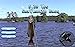 iFishing 3