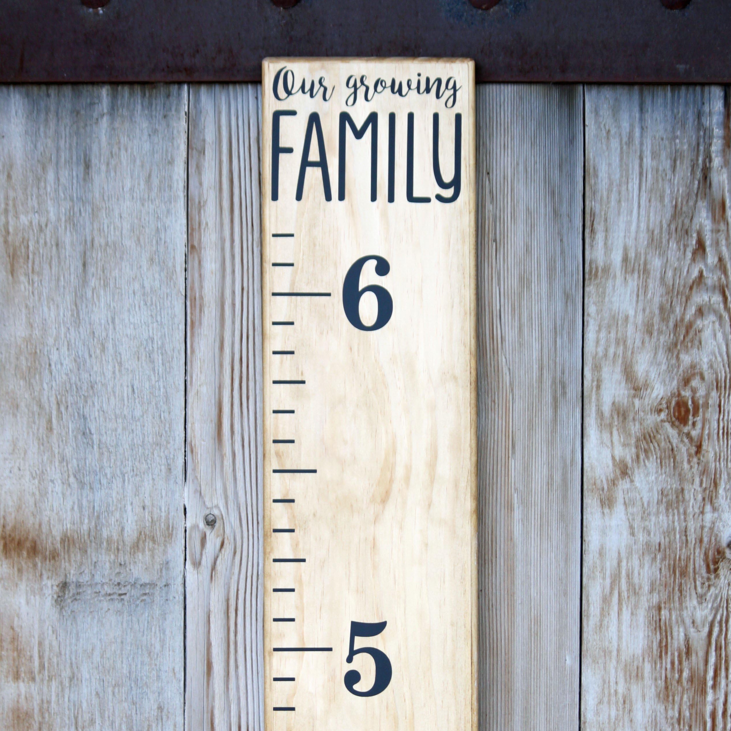 Little Acorns DIY Vinyl Growth Chart Ruler Decal Kit, Our Growing Family (Modern)