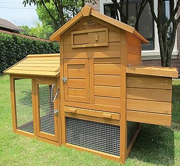 Pets Imperial Clarence Poulailler Pour 1 2 Oiseaux Selon Leur Taille