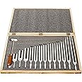 United Scientific Tuning Fork Set of 13 with Dual-Ended Mallet – 13 Aluminum Alloy Forks in Wooden Storage Box – For Sound Wave Physics Science Experiments – Frequencies 100 Hz to 4096 Hz Tuning Forks