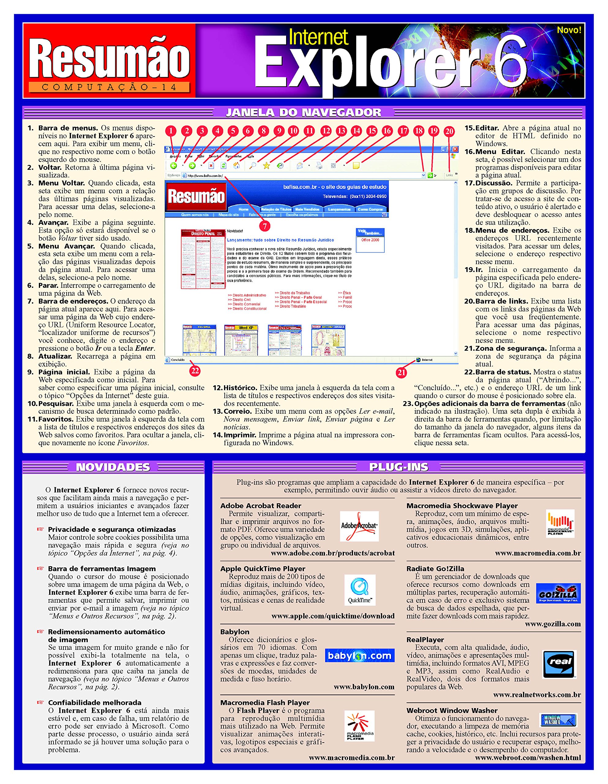 Internet Explorer 6 PDF Vários Autores