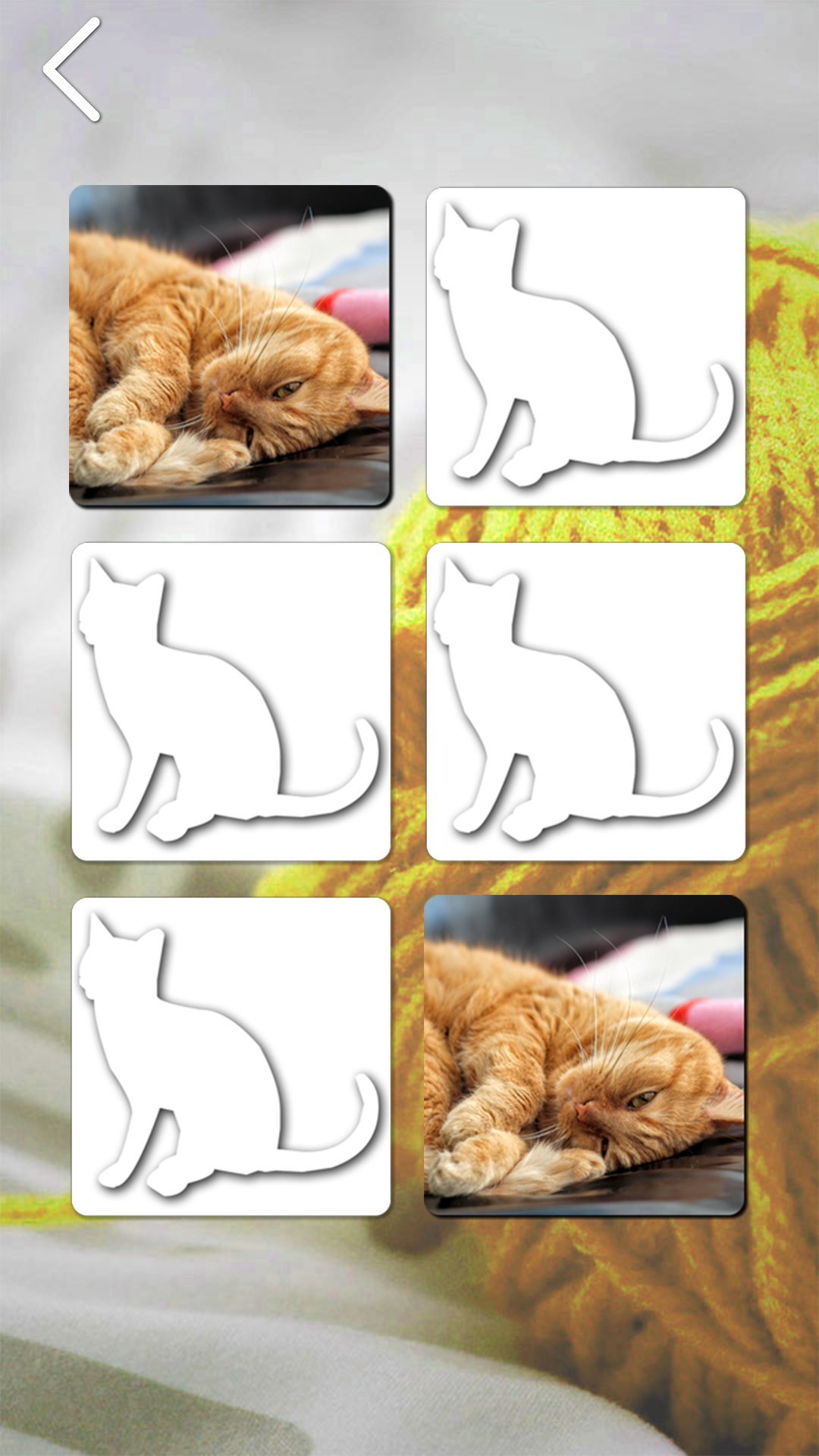 Cat Games Free for Android