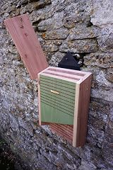 Wildlife World Conservation Bat Box CSVBB - Twin Chamber FSC Timber view 2