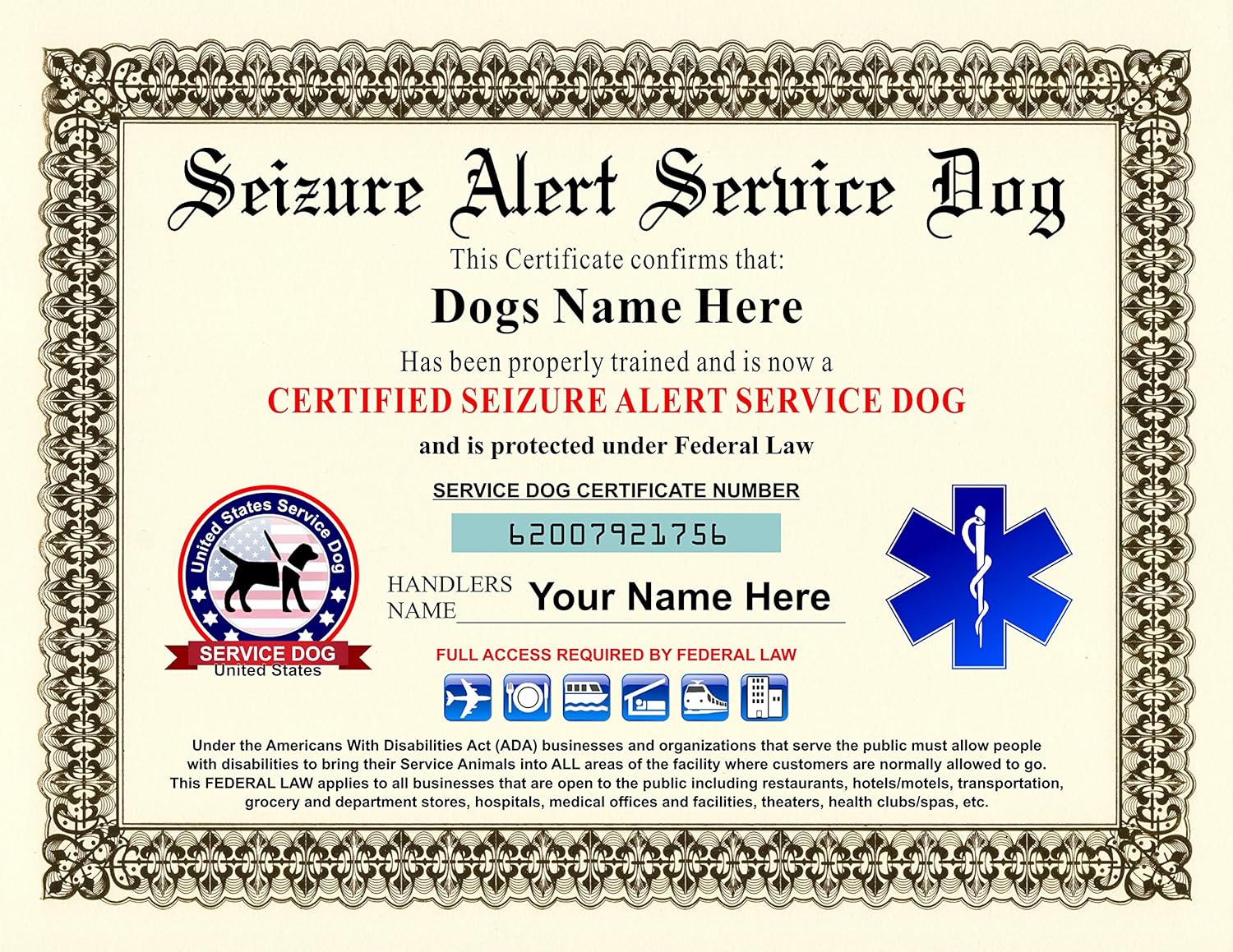 How To Train A Service Dog For Seizures Seizure Service Dogs Seizure Alert Service Dog