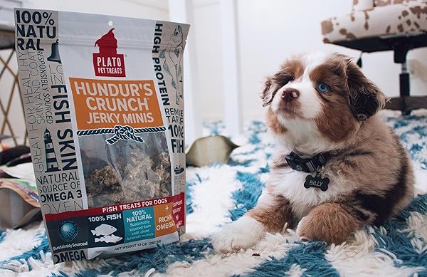 PLATO HUNDUR’S CRUNCH JERKY MINIS 3.5OZ