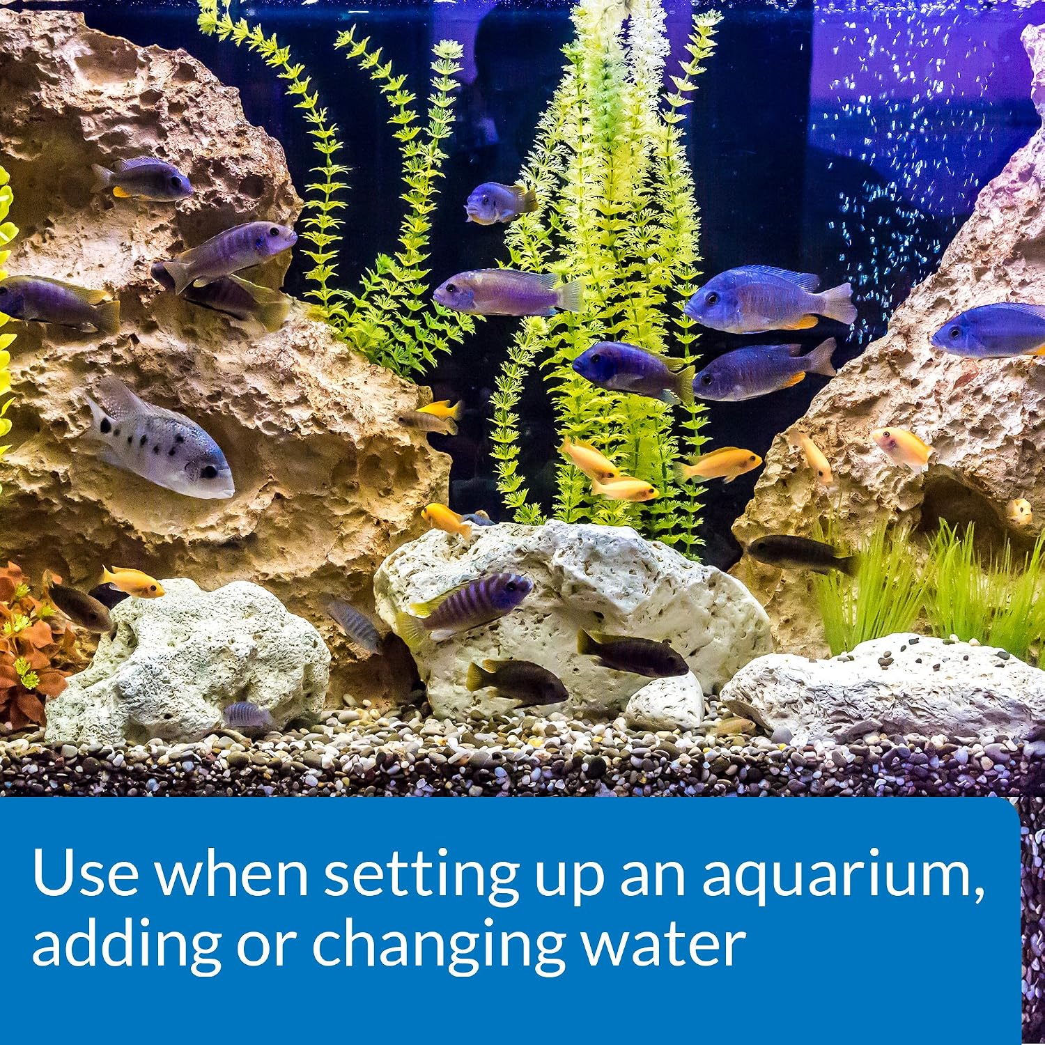 API TAP WATER CONDITIONER Aquarium Water Conditioner 3.78-Litre Bottle,White, 3.78 L - Image 3