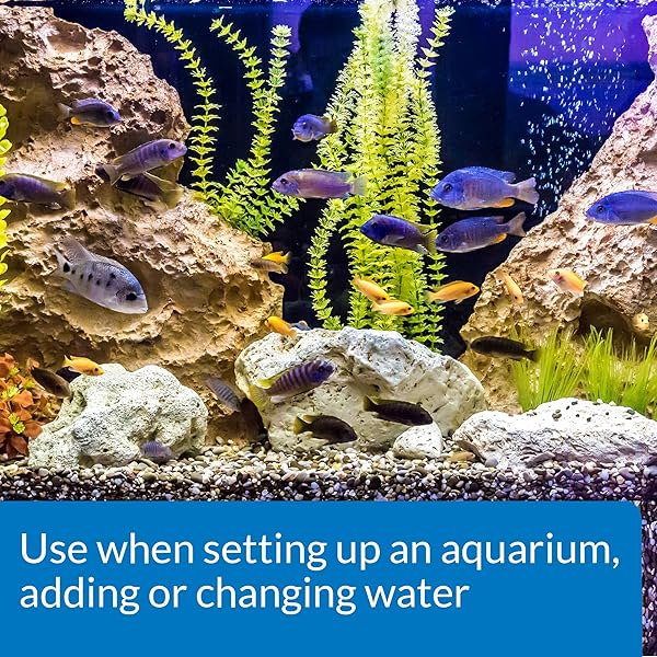 API TAP WATER CONDITIONER AQUARIUM WATER CONDITIONER 16-OUNCE BOTTLE