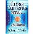 Cross Currents: The Perils of Electropollution, the Promise of Electromedicine